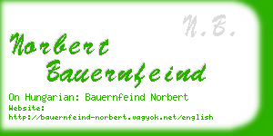 norbert bauernfeind business card